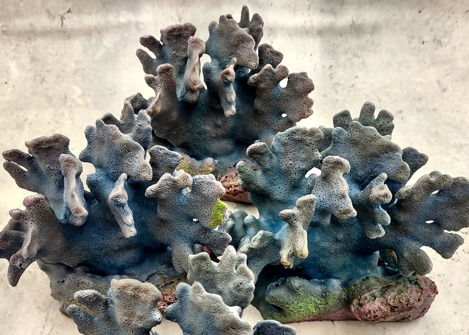 Blue Ridge FAUX Coral - Heliopora Coerula - (1 FAKE Coral approx. 7x6x4 inches). Purple dark ombre with texture and a wide strong base. Copyright 2024 SeaShellSupply.com