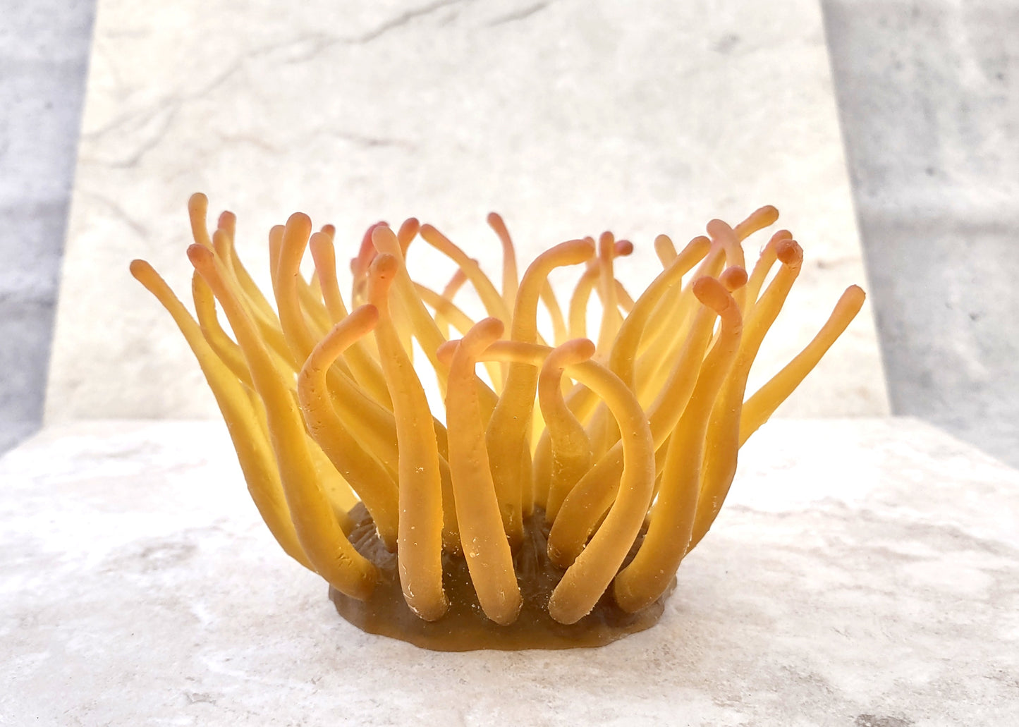Aqua Orange FAUX Anemone Condylactis Gigantea (1 FAKE Anemone approx. 5Wx4Dx5T inches) Colorful Artificial Anemone for aquarium & display!