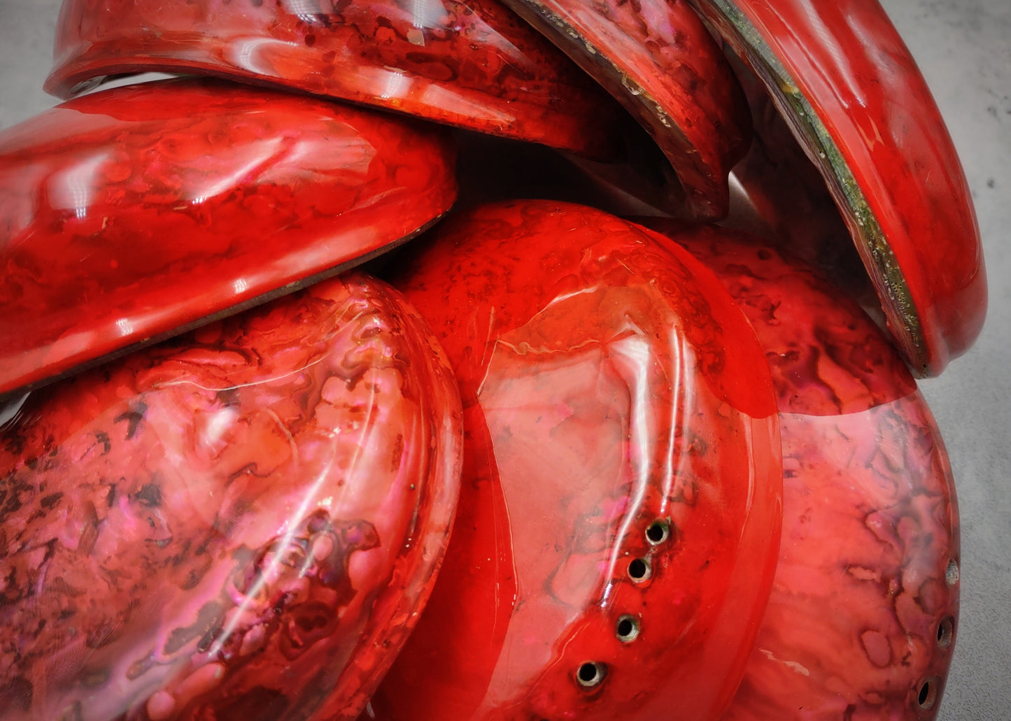 Polished Solid Dyed Red Abalone Midas Seashell Haliotis Midae (1 shell approx. 5+ inches) Red Abalone shell for display arts & crafts!