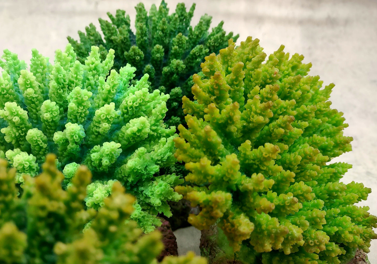 Green FAUX Table Coral - Acropora Hyacinthus - (1 FAUX Coral approx. 5Wx6Dx4T inches). Green thick fluffed coral set on rock. Copyright 2024 SeaShellSupply.co