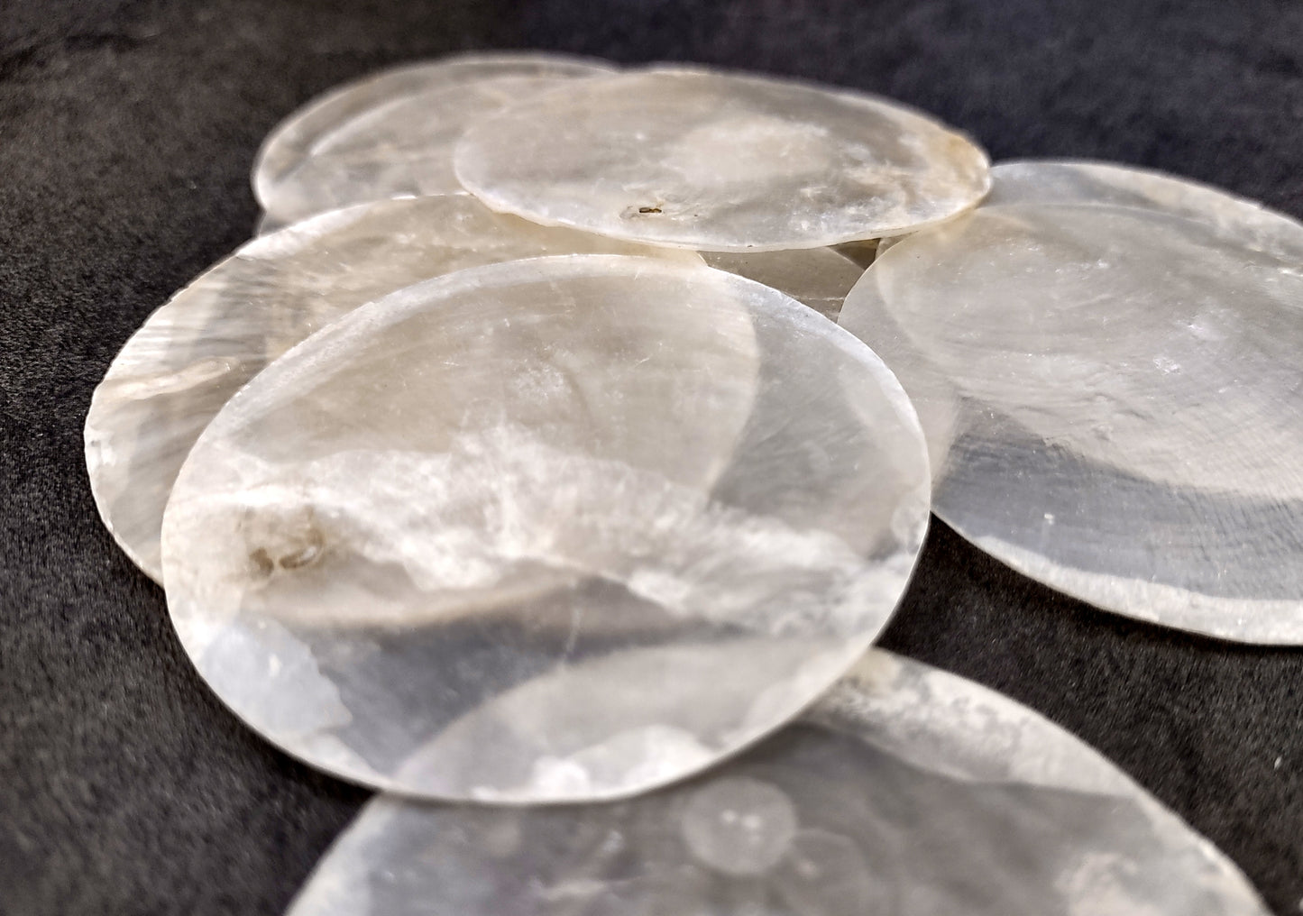 Capiz Round Cut Seashells Placuna Placenta (10 shells approx. 2+ inches) Swell shells for coastal crafting décor & collections!