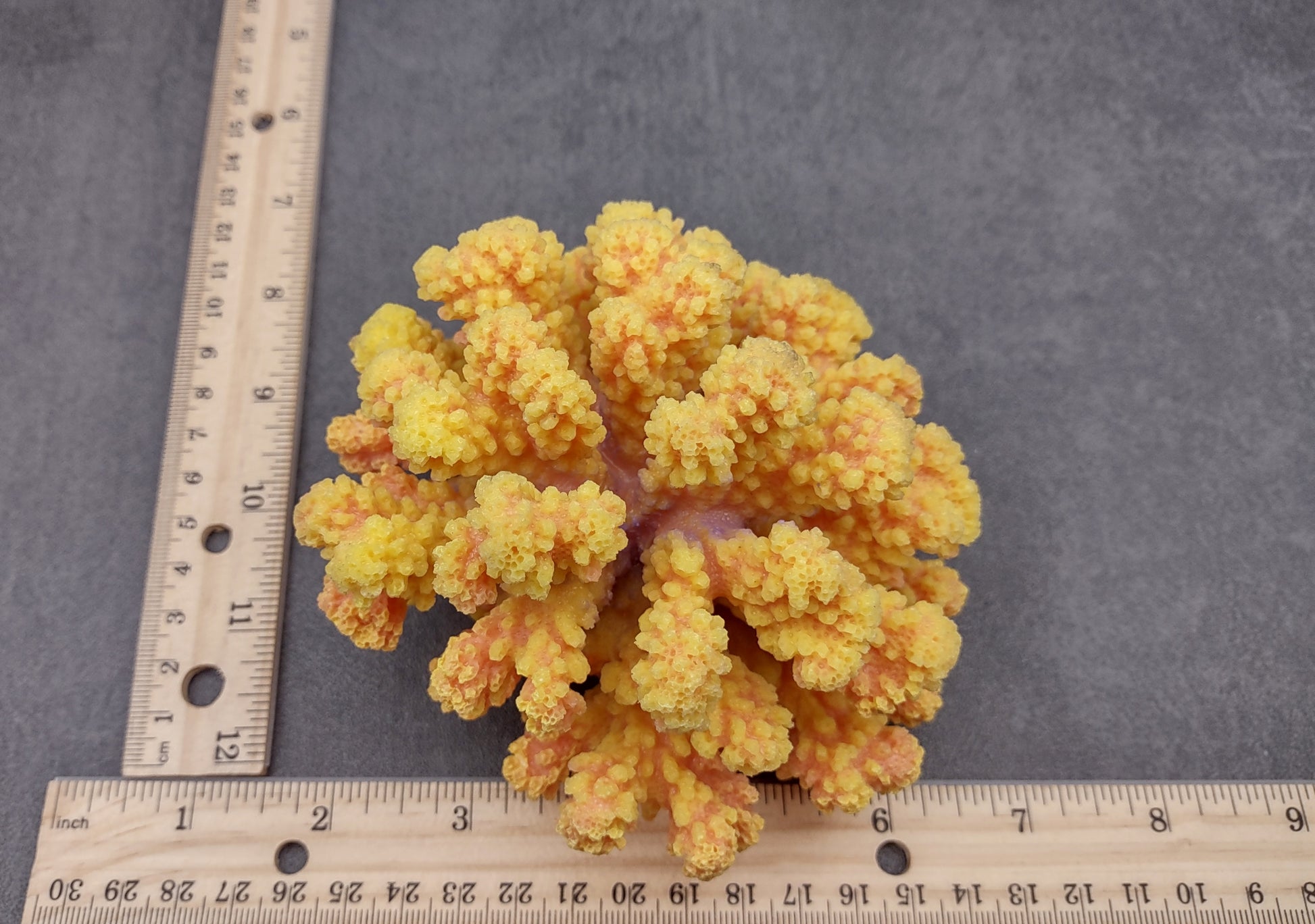 Yellow Faux Coral Cluster - Pocillopora Elegans - (1 FAUX Coral approx. 5Wx3Dx4T). Orange and pink tinted fluffy heavily textured coral cluster with many arms. Copyright 2024 SeaShellSupply.c