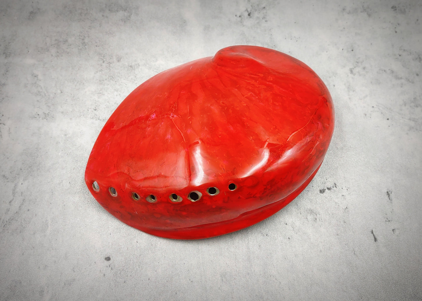 Polished Solid Dyed Red Abalone Midas Seashell Haliotis Midae (1 shell approx. 5+ inches) Red Abalone shell for display arts & crafts!