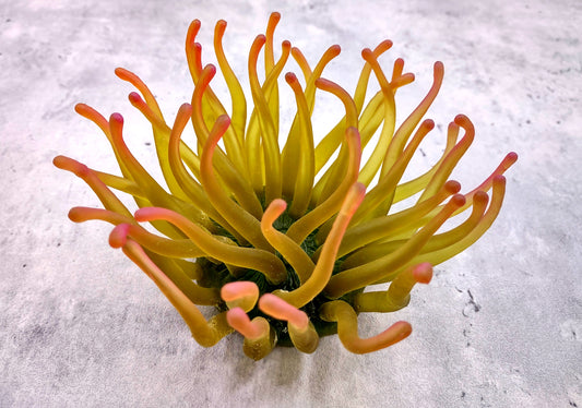  Aqua FAUX Anemone - Condylactis Gigantea - (1 FAUX Anemone approx. 5Wx4Dx5T inches). green ombre fake anemone with pink tipped tentacles. Copyright 2024 SeaShellSupply.com.