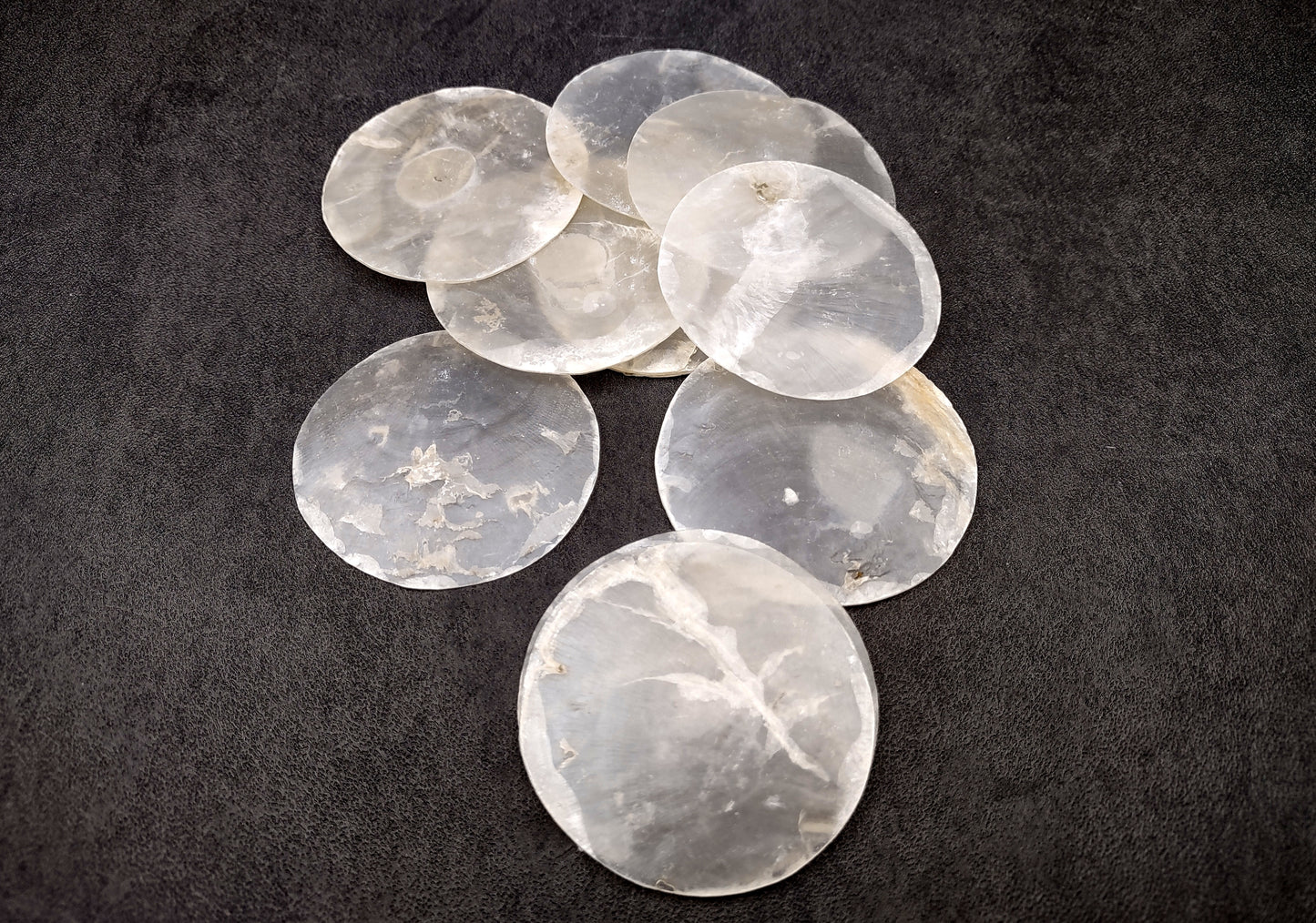 Capiz Round Cut Seashells Placuna Placenta (10 shells approx. 2+ inches) Swell shells for coastal crafting décor & collections!
