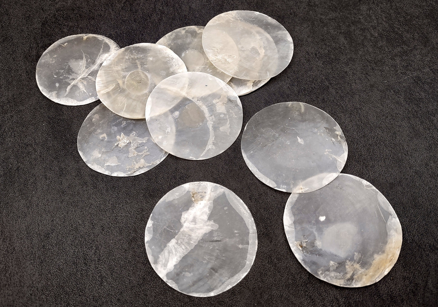 Capiz Round Cut Seashells Placuna Placenta (10 shells approx. 2+ inches) Swell shells for coastal crafting décor & collections!