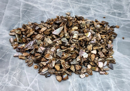 Pink Abalone Chips (1 pound, approx. 900-1,100 chips .25 - .5 inches). different shell chips in a big pile, ranging size and shape. Copyright 2022 SeaShellSupply.com.