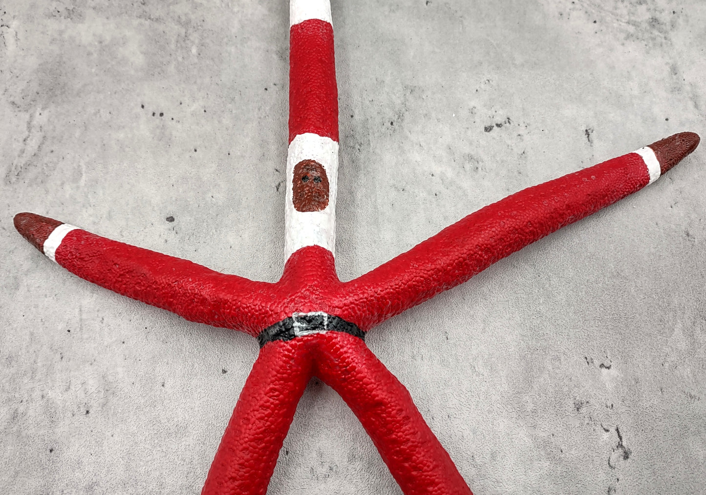 Red Linckia Starfish Black Santa Claus Ornament (1 star approx. 10-11+ inches) Painted Black Santa Claus Starfish Ornament For Christmas  Copyright 2023 SeaShellSupply.com.