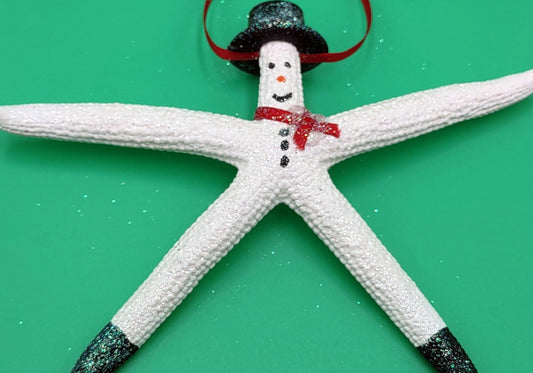 Snowman Starfish Xmas Ornament Linckia Starfish (1 seastar approx. 4-5+ inches) White Painted Starfish Snowman For Beachy Coastal Christmas!
