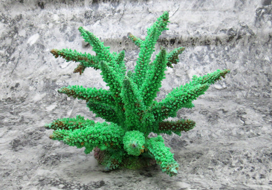 Green FAUX Staghorn Coral - Acropora Nobilis - (1 Fake Coral approx. 6Dx6.5Wx7T inches) on grey background. Copyright 2022 SeaShellSupply.com.