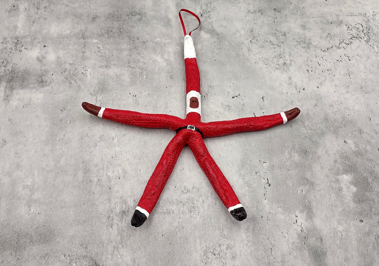 Red Linckia Starfish Black Santa Claus Ornament (1 star approx. 10-11+ inches) Painted Black Santa Claus Starfish Ornament For Christmas  Copyright 2023 SeaShellSupply.com.