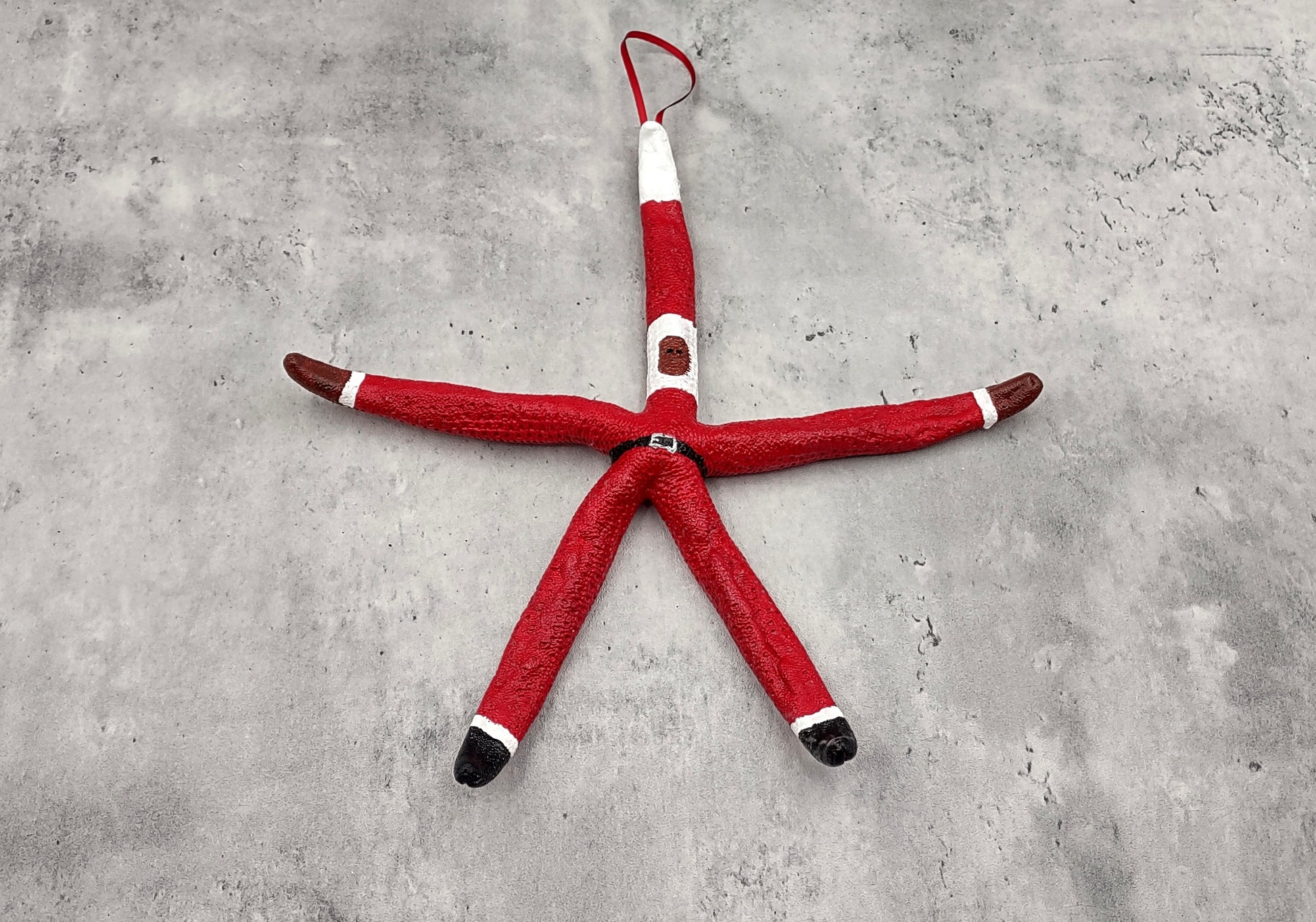 Red Linckia Starfish Black Santa Claus Ornament (1 star approx. 10-11+ inches) Painted Black Santa Claus Starfish Ornament For Christmas  Copyright 2023 SeaShellSupply.com.