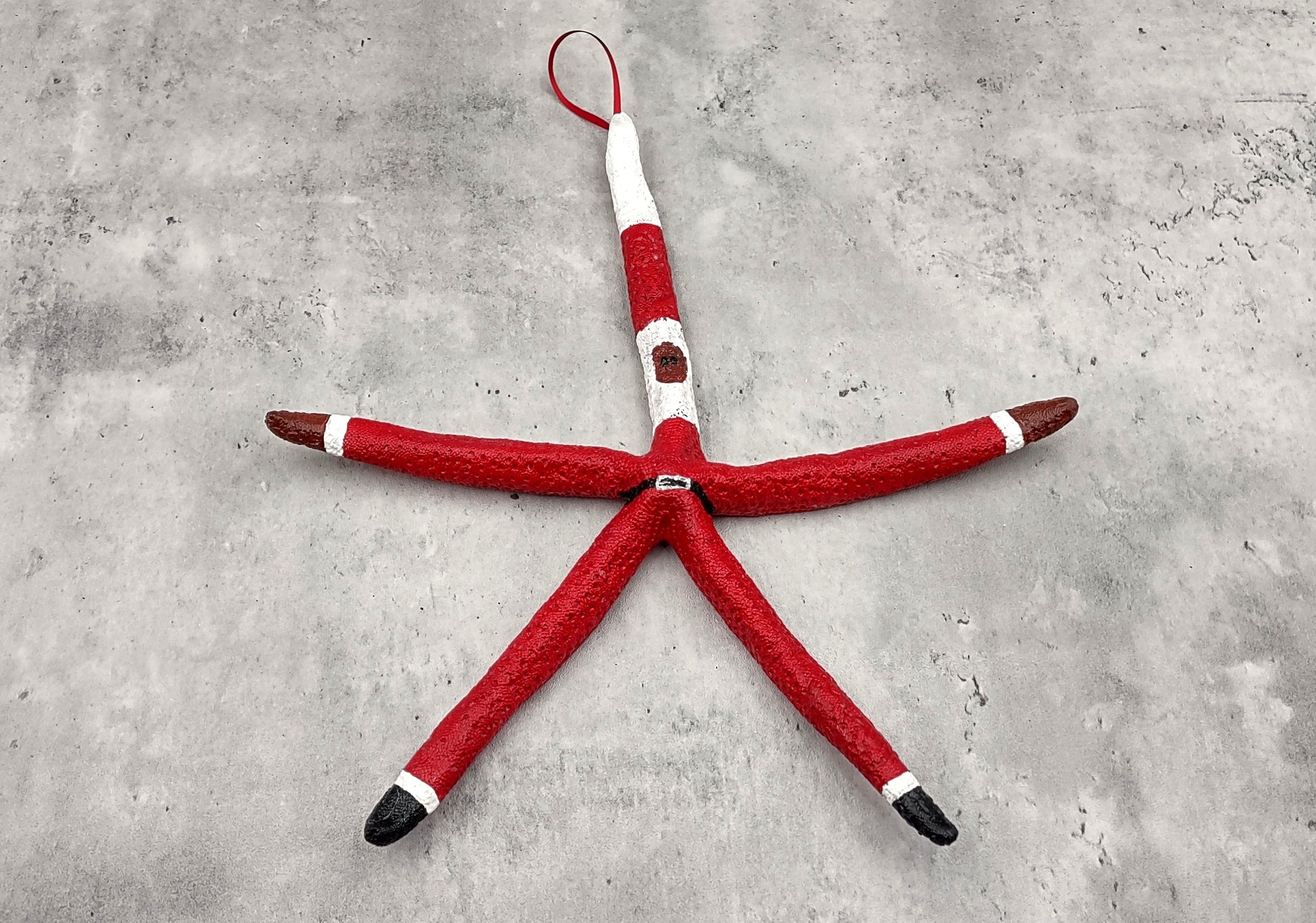 Red Linckia Starfish Black Santa Claus Ornament (1 star approx. 10-11+ inches) Painted Black Santa Claus Starfish Ornament For Christmas  Copyright 2023 SeaShellSupply.com.