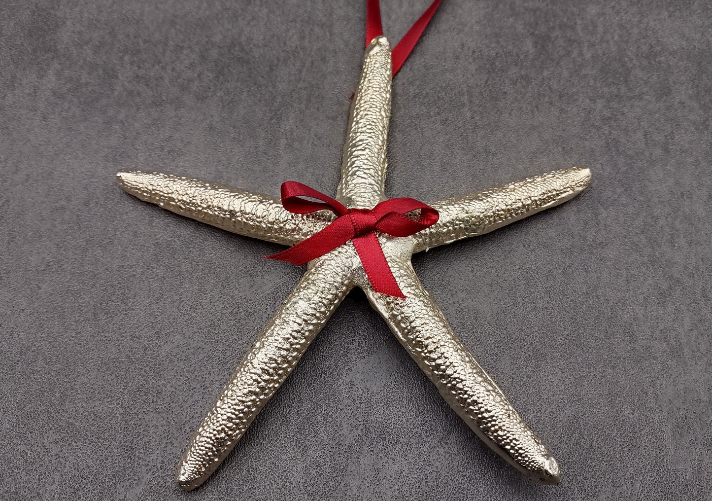 Silver Dipped Starfish Xmas Ornament (1 seastar approx. 5+ inches) Real Starfish Silver Christmas Ornament for seashell holiday gifting joy!