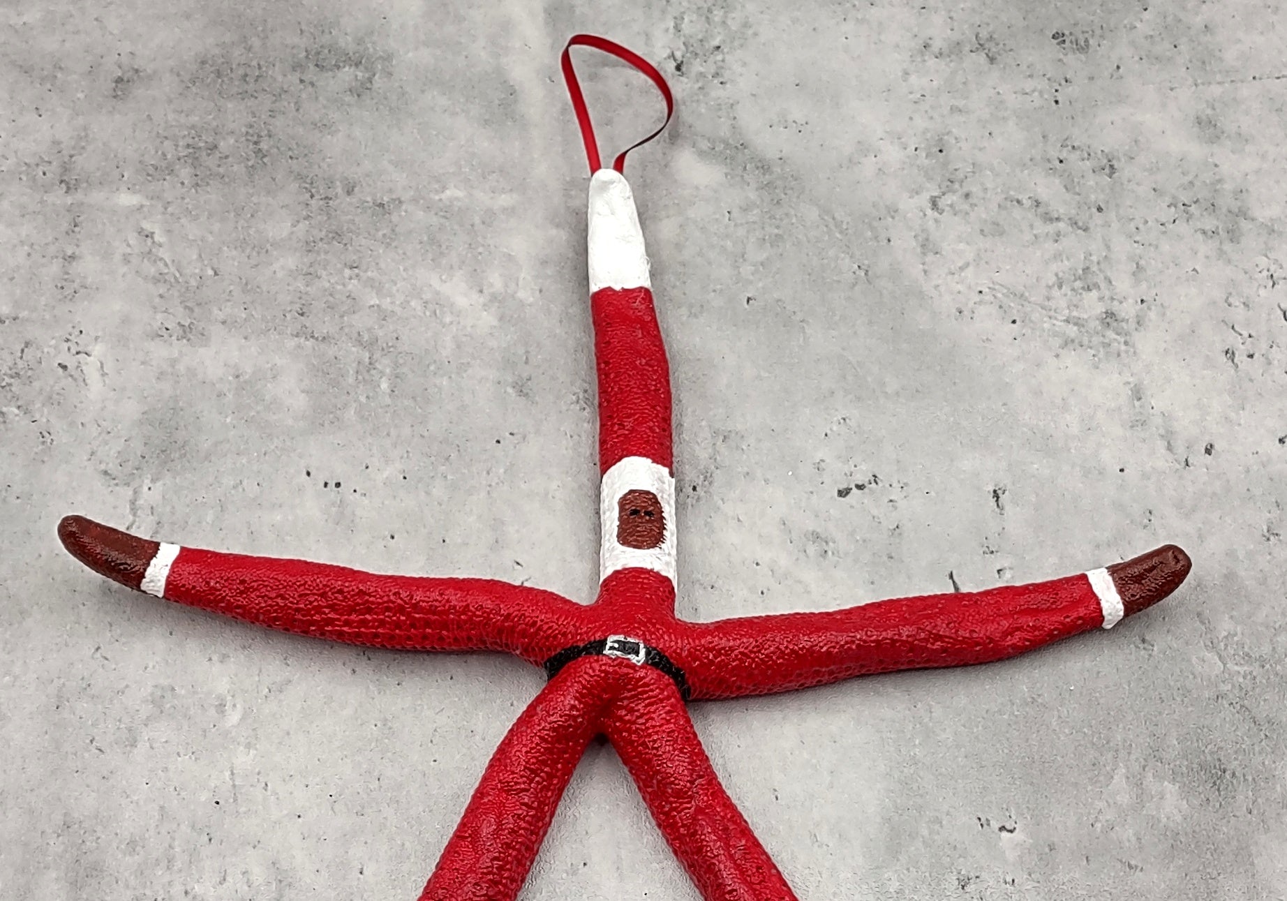 Red Linckia Starfish Black Santa Claus Ornament (1 star approx. 10-11+ inches) Painted Black Santa Claus Starfish Ornament For Christmas  Copyright 2023 SeaShellSupply.com.