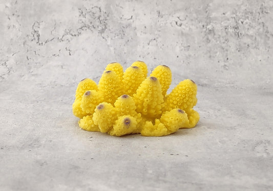 Yellow Cluster FAUX Coral - Acropora Monticulosa - (1 Fake Coral approx. 2Wx3Dx2T) on grey background. Copyright 2022 SeaShellSupply.com.