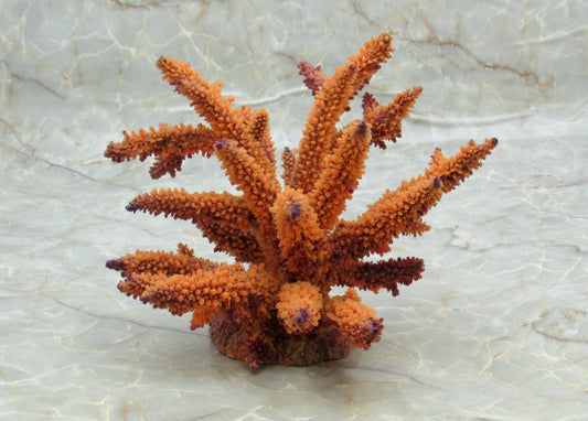 Tan FAUX Staghorn Coral - Acropora Humilis - (1 FAKE Coral approx. 6Wx6.5Dx7.5T inches) on light background.  Copyright 2022 SeaShellSupply.com.